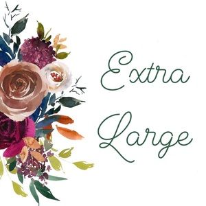 Victoria’s Secret / PINK Panties (XL)